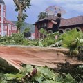 Gradske službe u Nišu, Aranđelovcu i Smederevu donele mere za otklanjnanje posledica nevremena
