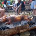 Sprema se gastronomski spektakl: Druga „Prasićijada kod Mišića“ krajem avgusta u Mišićevu
