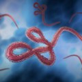 Ebola se širi, prvi slučaj u Keniji, čovek umro nakon boravka u Kongu! Ministarstvo zdravlja identifikovalo 28 kontakata…