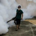 Honduras proglasio vanedno stanje zbog denga groznice: Ušli smo u zonu epidemije, porast u celoj zemlji
