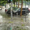 Više od 600 prijava za intervenciju nakon oluje - stabla padala u Beogradu, Zelenilo objavilo brojeve za sanaciju štete