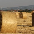 Sombor prednjači po hektarima zemlje vraćene restitucijom