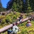 Kako preživeti u šumi, zapaliti vatru i pronaći put do sebe: Kamp "Upoznaj Kopaonik" u deci budi ljubav prema prirodi