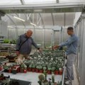 Na krovu gaji 1.500 kaktusa: Boban Stanković iz Niša već tri decenije opčinjen lepotom raskošnih i egzotičnih biljaka