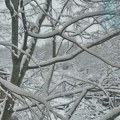 Sneg u leskovačkom kraju-foto priča
