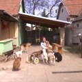 Misija Andree Žuljević iz Sombora za spas napuštenih životinja