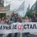 Akademski plenum pozvao ministra prosvete da osudi izjave predsednika: „Stanković dužan i kao ministar i kao profesor da…