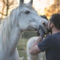 Konja istrčava dok vozi Neobična slika na putu za Zlatibor (video)