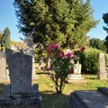 Raspored sahrana i ispraćaja za sredu, 3. septembar