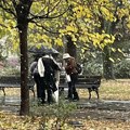 Vremenska prognoza za 4. oktobar