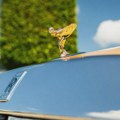 Vlasnik zamisli, Rols Rojs ispuni: Luksuzni brend napravio automobil posvećen psu Bejliju