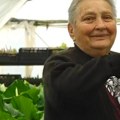 Komšije ne veruju šta penzionerka Ljilja gaji u plasteniku: Prvo ih pozdravi za dobro jutro, pa izljubi! Peva im, priča i tepa…