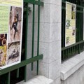Neobična izložba na ogradi Botaničke bašte „Jevremovac”