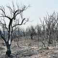 Grčka: najgori požari u istoriji EU