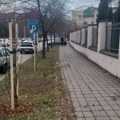 FOTO: Zelenilo sa devet sorbusa dopunilo drvored u Branimira Ćosića