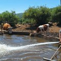 Krave i konje na Suvoj planini više ne mori žeđ, voda svakodnevno pristiže