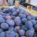 Suša i mraz "obrali" rod : Zbog vremenskih neprilika voćari RS u problemu