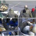 Ribarima se smeši dobra godina! Šaran, tostolobik i amur spremni za slavsku trpezu, evo koliko koštaju!