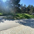 POZDRAV PROLEĆU STAZAMA ZDRAVLJA POVODOM SVETSKOG DANA ZDRAVLJA