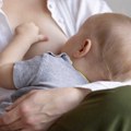 Otkriven mehanizam mozga koji na odgovarajući plač bebe pokreće lučenje majčinog mleka