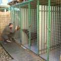 Dreser pasa iz Banje Koviljače: Bez kažnjavanja do lepih manira