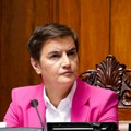 Brnabić: Ne bore se oni za životnu sredinu i protiv Rio Tinta, već protiv Vučića