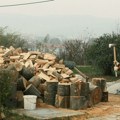 Vlasnici šuma u Evropi profitiraju od Trampovih carina: "Možda ćemo napokon izaći iz zone gubitaka", drvna industrija u…