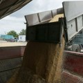 Transport žitarica iz Ukrajine skup i dugo traje