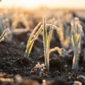 Temperatura raste do četvrtka, a onda sledi sunovrat