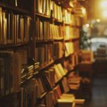 Zatvorena Gradska biblioteka u Severnoj Mitrovici: Oštra reakcija Ministarstva kulture Srbije
