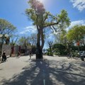Velika očekivanja od turističke posezone