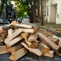 Građani Srbije mogu dobiti kubik drva UPOLA JEFTINIJI, a neki i BESPLATNO: Evo kako