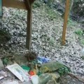 Čudotvoran izvor svete petke Glumica se izlečila, rane zarastaju preko noći, a mnogi parovi dobili decu