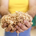 Usvojeni strateški dokumenti za energetiku do 2040: Biomasa potvrđena kao ključni resurs za razvoj Srbije