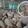 U Srbiji vanredno stanje zbog svinjske kuge: Virusolog Šekler objasnio šta može da vam se desi ako pojedete zaraženo meso