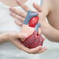 Ruski naučnici razvili "živi" pejsmejker: Srčani ritam kontrolišu svetlošću
