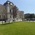 Šumadijski blok 21 povodom osušenih stabala javora na Trgu Radomira Putnika: Skupo plaćen promašaj
