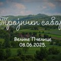 Trojički sabor u Velikim Pčelicama