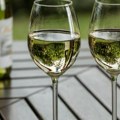 Za vikend svi u Pančevo Vino, muzika i ukusi Srbije u hladovini Narodne bašte!