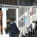 Ministarstvo pravde: Za svaki akt koji Srbe ostavlja bez prava na dom međunarodna zajednica snosi punu odgovornost