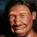 Rad srpskih naučnika o neandertalcima objavljen u prestižnom američkom časopisu
