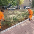 JKP Mediana: Uređenje ulica, trgova, parkova