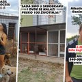 Fitnes bliznakinje udomile psa, pa ga odvele u azil! Mreže "gore", ljudi zapenili od besa: "Zaslužujete kavez"