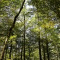 Park prirode Mali Bosut proglašen zaštićenim područjem