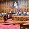 Poslanici u nastavku skupštinske rasprave o medijskim zakonima, nabavci aviona Rafal, ekologiji