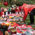Velika brzina uzrok nesreće u kojoj su poginuli Žota i njegov brat
