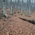 Da li vreme ili ljudski nemar, tek Ekološka edukativna staza "U svetu ptica i šumskih duhova", na Vzganici, skoro uništena…