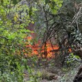 Ne jenjava požar na Stolovima, apel da građani ne dolaze samoinicijativno da gase vatru zbog opasnog terena
