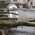 (Video) Orkanski vetar čupao stabla, totalni kolaps u gradu! Žestoko nevreme napravilo haos u Parizu: Poremećen saobraćaj…