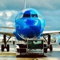 Zmija sa kapuljačom napravila paniku na letu za Palermo: Istraga kako je dospela u avion
